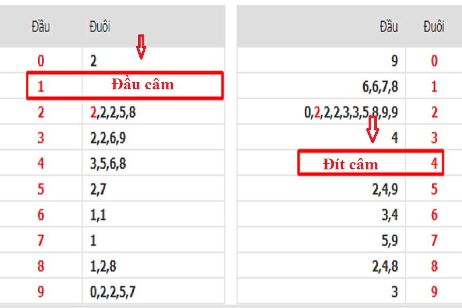 Tìm hiểu đầu câm