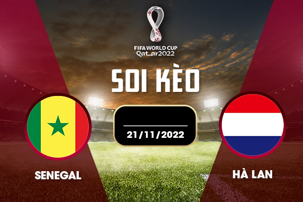 Cùng May88 soi kèo Sénégal vs Hà Lan ngày 21/11/2022