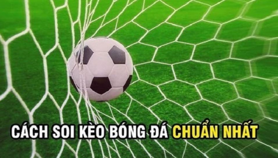 Bí kíp soi kèo nhà cái World Cup 2022 dành cho dân cược