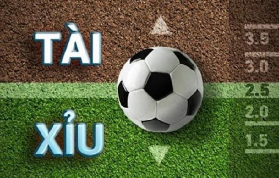 Cách đọc kèo tài xỉu dễ hiểu tại nhà cái May88